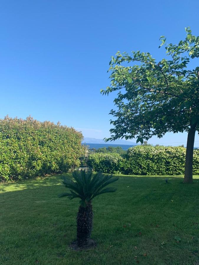 Aerides Luxury Villa Palaiontsiflikion Bagian luar foto
